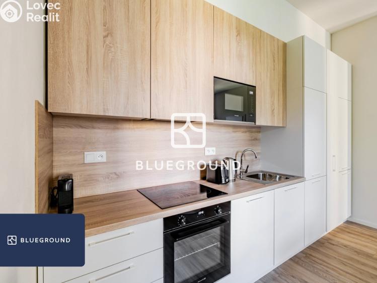 Pronájem bytu 1+KK Praha, Veletržní č. 8