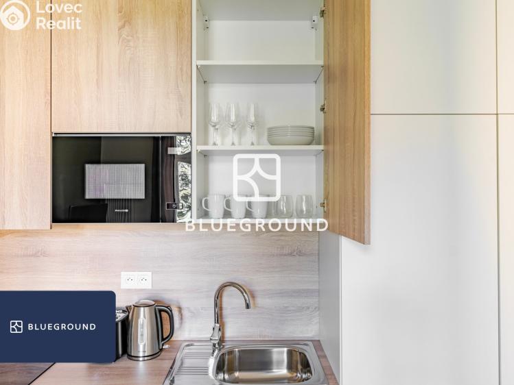 Pronájem bytu 1+KK Praha, Veletržní č. 9