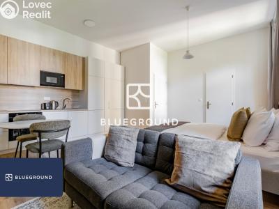 Pronájem bytu 1+KK Praha, Veletržní č. 5