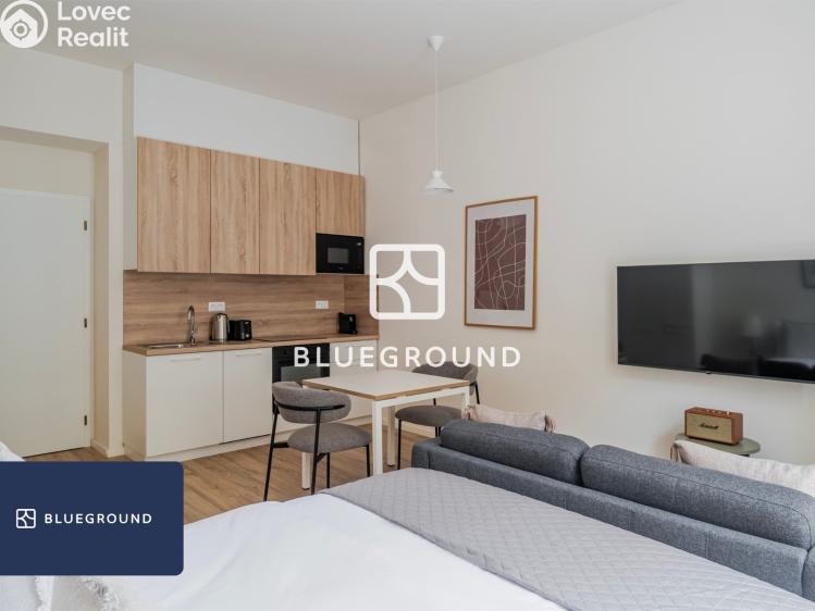 Pronájem bytu 1+KK Praha, Veletržní č. 7