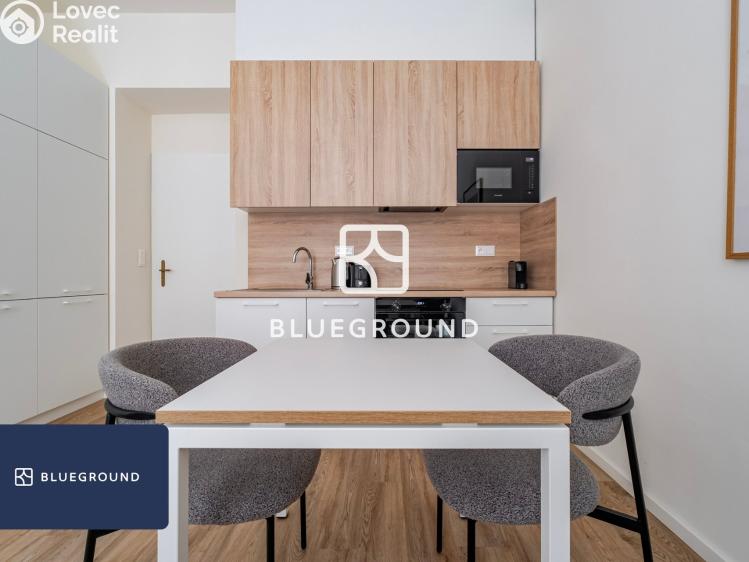 Pronájem bytu 1+KK Praha, Veletržní č. 11