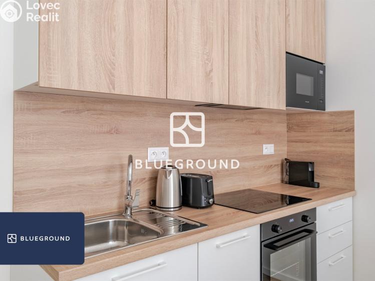 Pronájem bytu 1+KK Praha, Veletržní č. 12