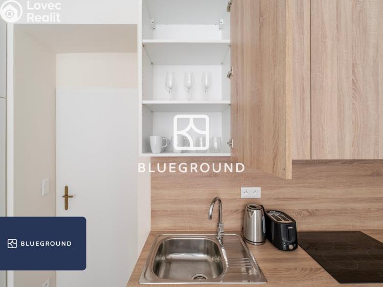 Pronájem bytu 1+KK Praha, Veletržní č. 13