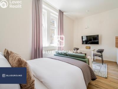 Pronájem bytu 1+KK Praha, Veletržní č. 5