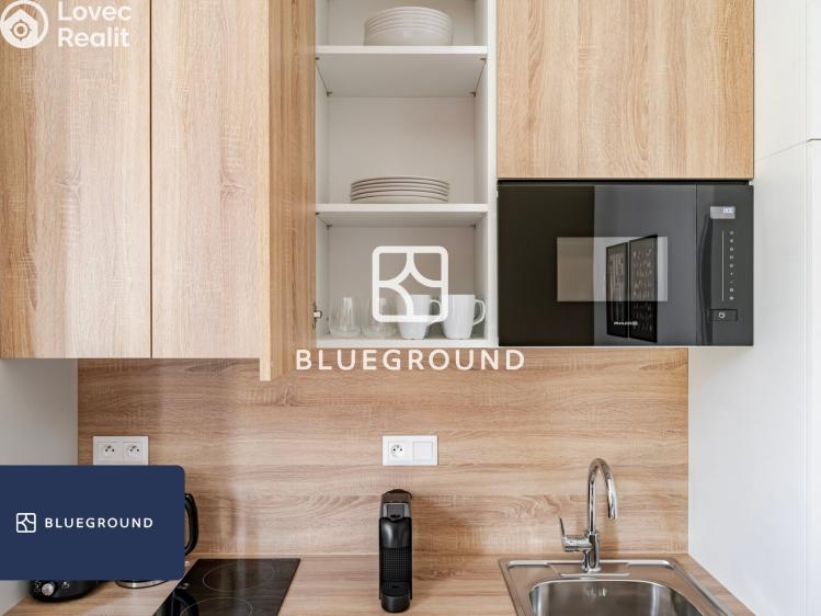 Pronájem bytu 1+KK Praha, Veletržní č. 8