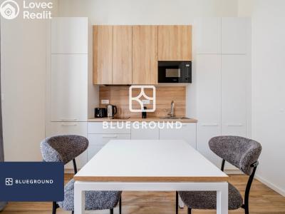 Pronájem bytu 1+KK Praha, Veletržní č. 6