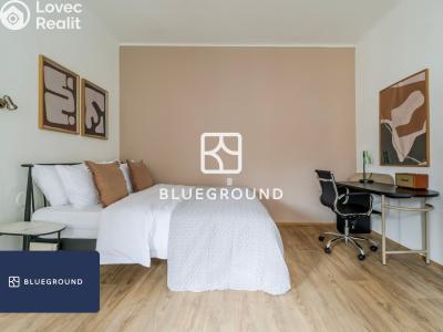 Pronájem bytu 1+KK Praha, Ostrovského č. 5