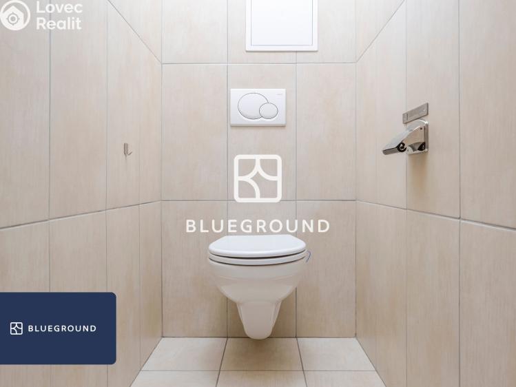 Pronájem bytu 3+KK Praha, U staré sokolovny č. 18