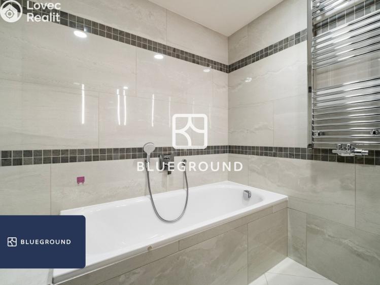 Pronájem bytu 3+KK Praha, Malešická č. 19