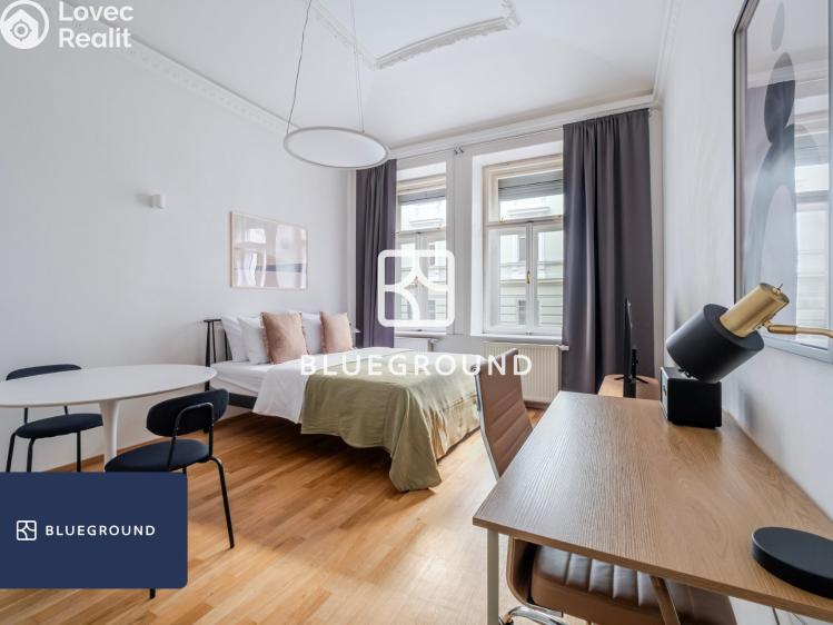 Pronájem bytu 1+KK Praha, Řehořova 986/16 č. 1