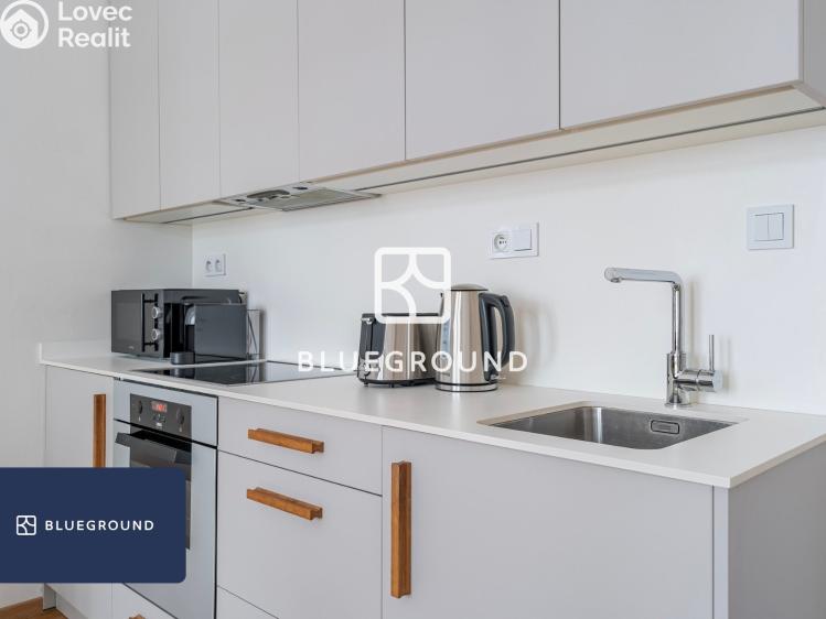 Pronájem bytu 1+KK Praha, Řehořova 986/16 č. 7