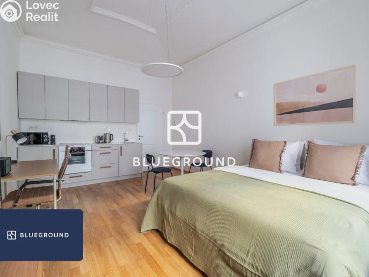 Pronájem bytu 1+KK Praha, Řehořova 986/16 č. 8