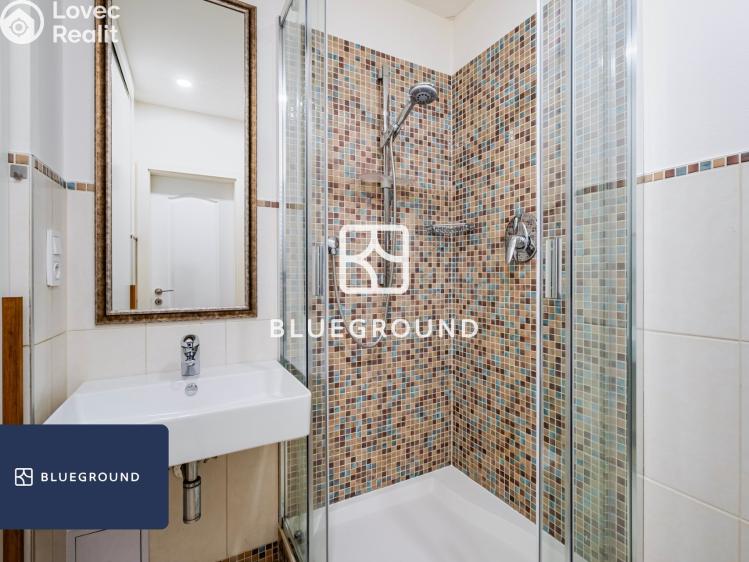 Pronájem bytu 1+KK Praha, Řehořova 986/16 č. 11