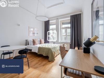 Pronájem bytu 1+KK Praha, Řehořova č. 1