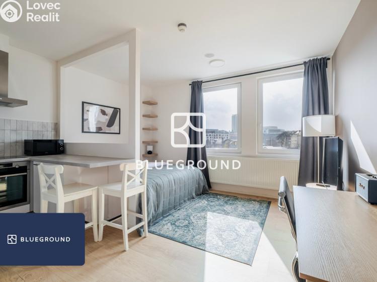 Pronájem bytu 1+KK Praha, Perucká č. 1