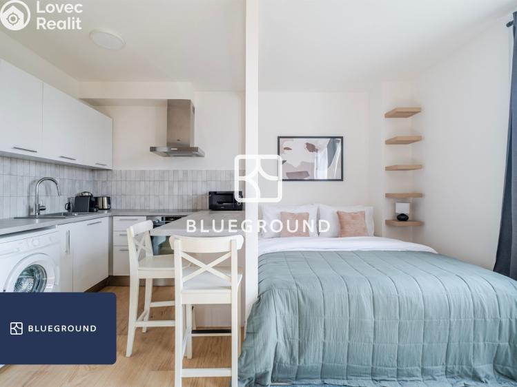 Pronájem bytu 1+KK Praha, Perucká č. 3