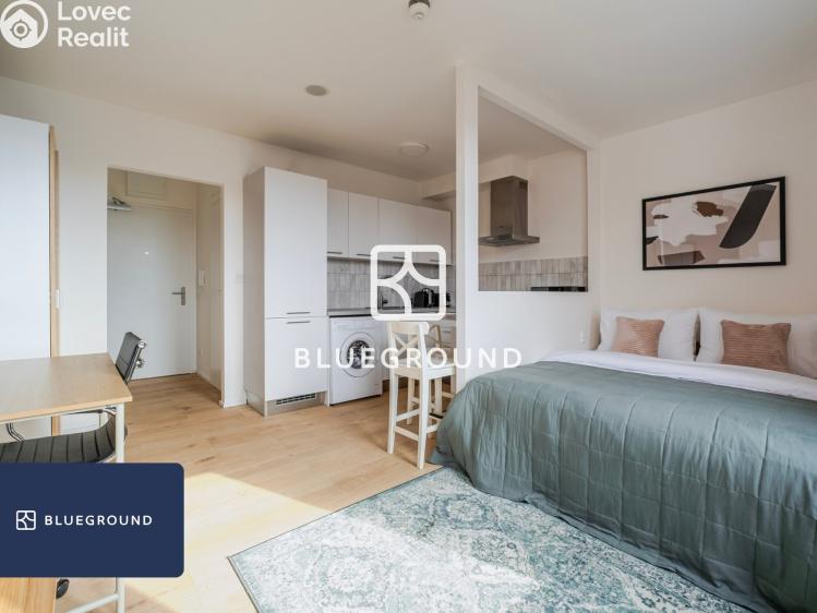 Pronájem bytu 1+KK Praha, Perucká č. 4