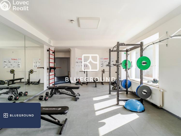 Pronájem bytu 1+KK Praha, Perucká č. 15