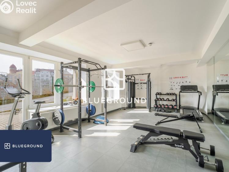 Pronájem bytu 1+KK Praha, Perucká č. 16