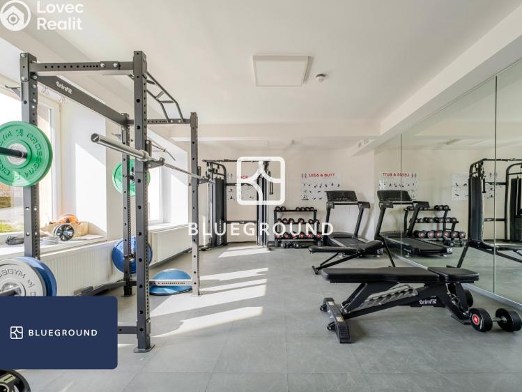 Pronájem bytu 1+KK Praha, Perucká č. 17