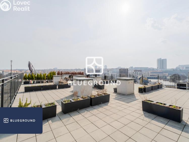 Pronájem bytu 1+KK Praha, Perucká č. 19