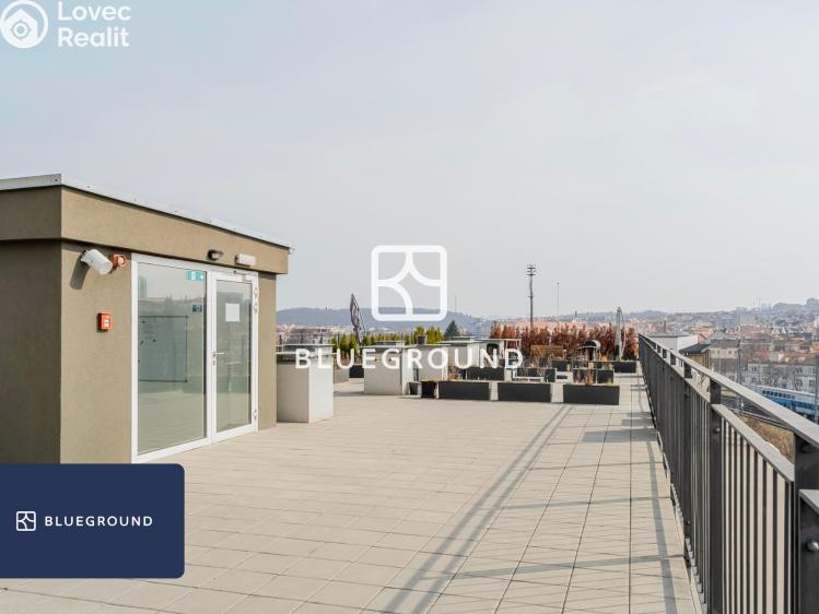 Pronájem bytu 1+KK Praha, Perucká č. 20