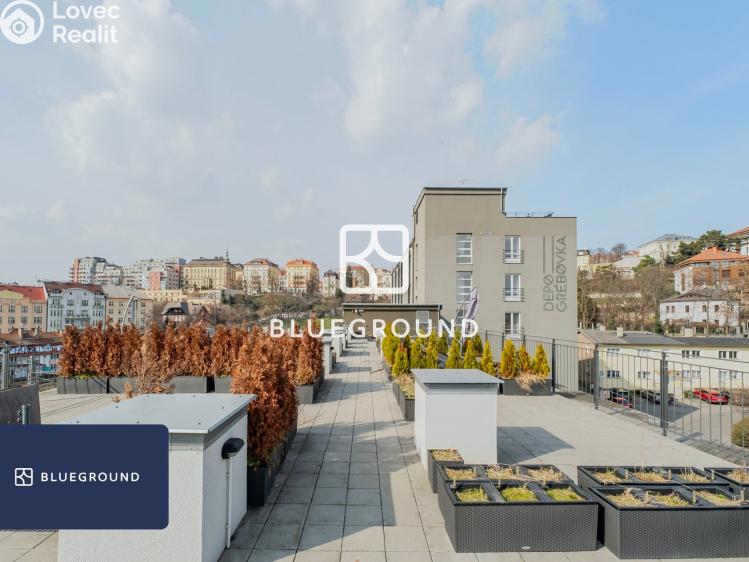 Pronájem bytu 1+KK Praha, Perucká č. 21