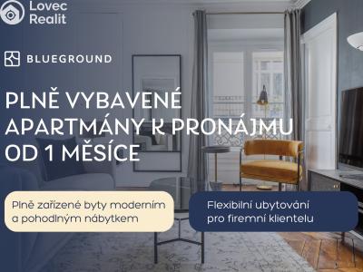 Pronájem bytu 1+KK Praha, Perucká č. 2