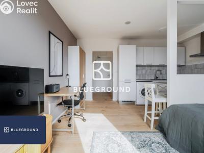 Pronájem bytu 1+KK Praha, Perucká č. 6