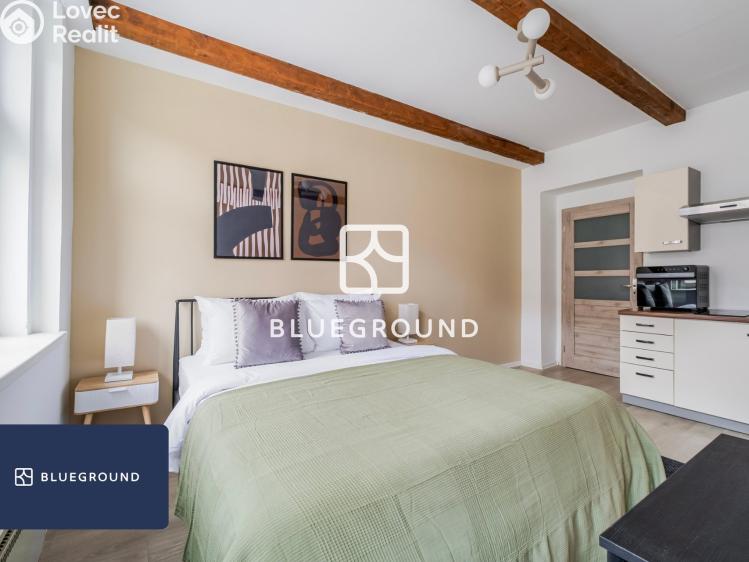 Pronájem bytu 1+KK Praha, Cimburkova č. 6