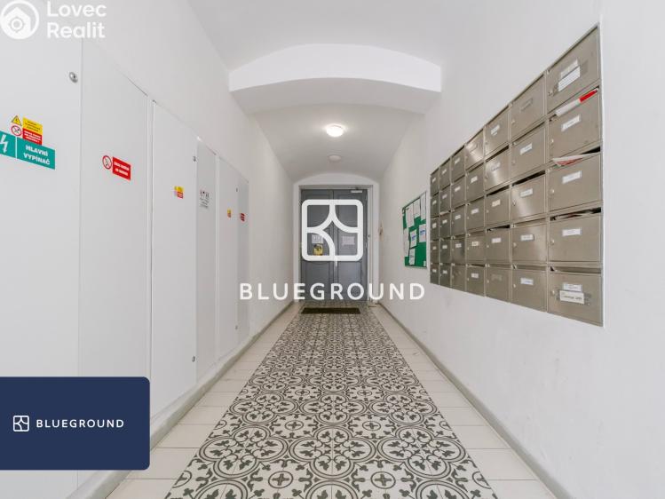 Pronájem bytu 1+KK Praha, Cimburkova č. 14