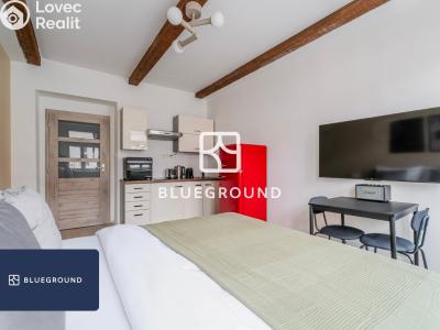 Pronájem bytu 1+KK Praha, Cimburkova č. 4