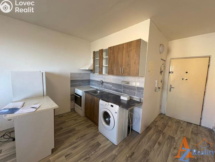 Pronájem bytu 1+1 Chomutov, Dřínovská 4593 č. 1