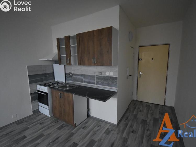 Pronájem bytu 1+1 Chomutov, Dřínovská 4593 č. 3