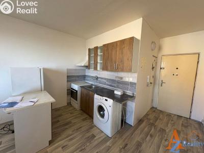 Pronájem bytu 1+1 Chomutov, Dřínovská 4593 č. 1