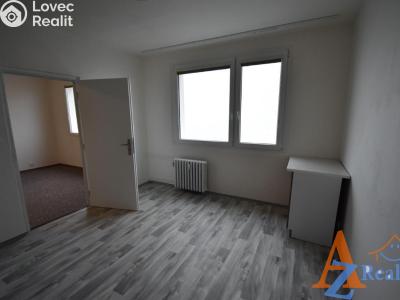 Pronájem bytu 1+1 Chomutov, Dřínovská 4593 č. 6