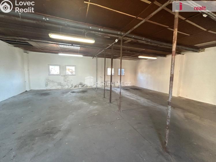 Pronájem skladového prostoru Poděbrady, Skladištní č. 9