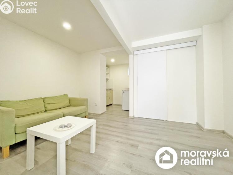 Pronájem bytu 2+KK Brno, Živného 375/13 č. 1