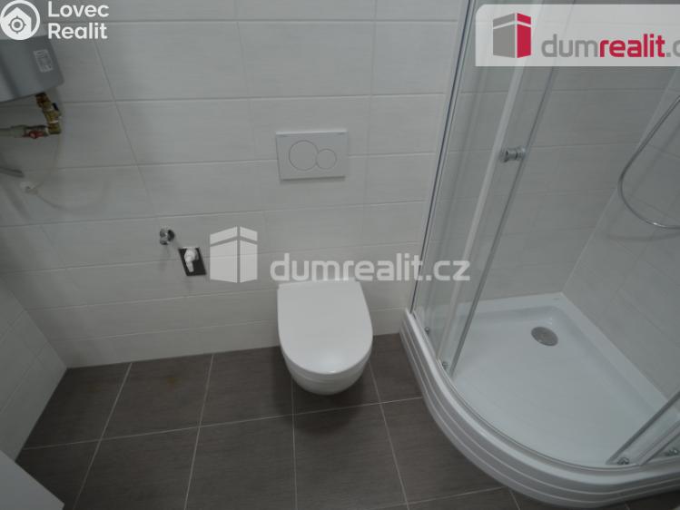 Pronájem bytu 1+KK Praha 4, Marie Cibulkové č. 9