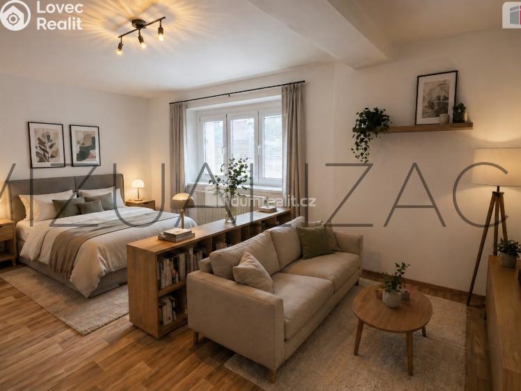 Pronájem bytu 1+1 Kolín, Mlýnská č. 8