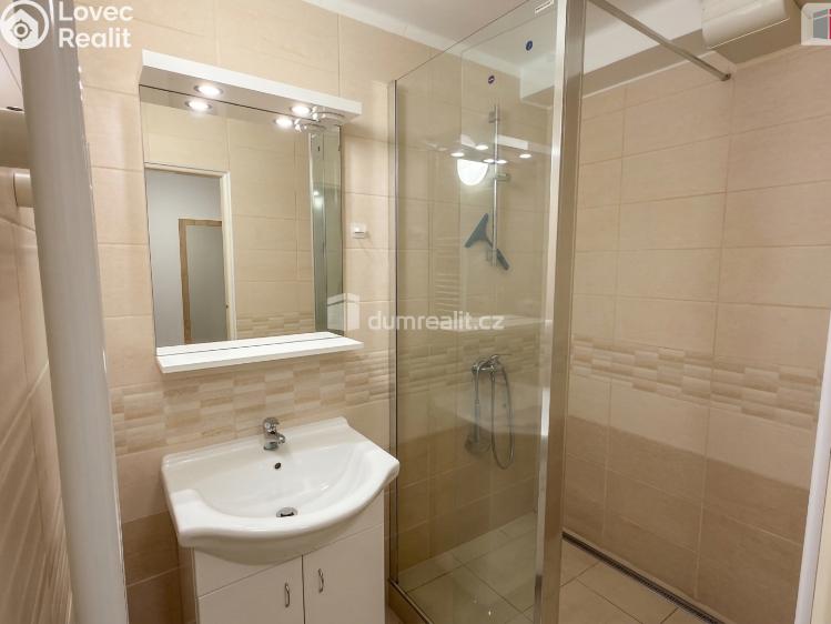 Pronájem bytu 1+1 Kolín, Mlýnská č. 10