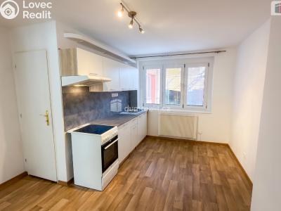 Pronájem bytu 1+1 Kolín, Mlýnská č. 5