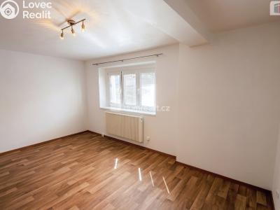 Pronájem bytu 1+1 Kolín, Mlýnská č. 7