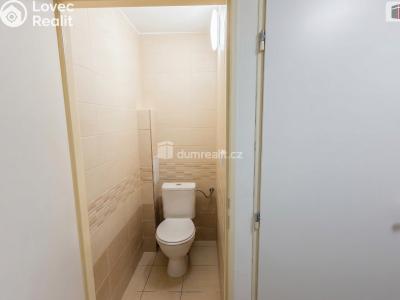 Pronájem bytu 1+1 Kolín, Mlýnská č. 11