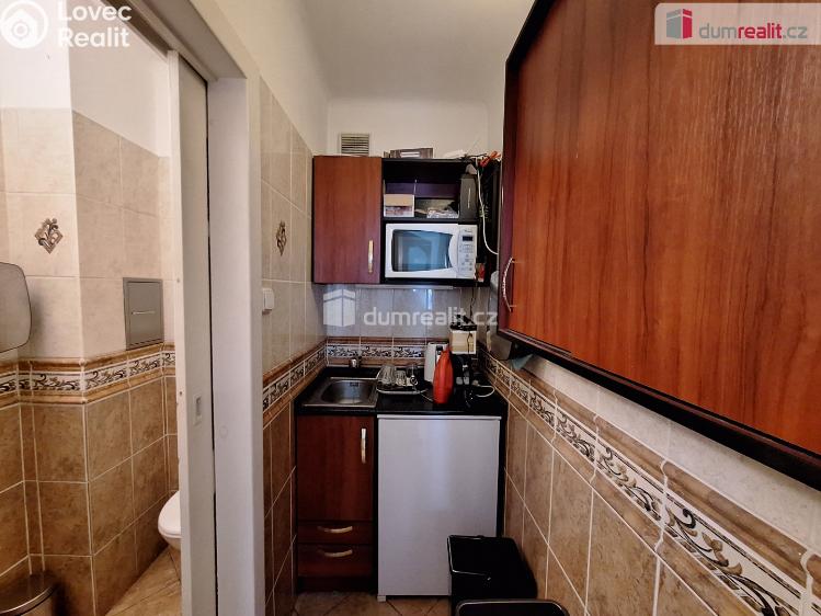 Pronájem kanceláře Praha 6, Bubenečská č. 5