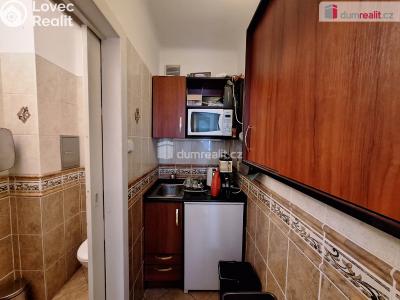 Pronájem kanceláře Praha 6, Bubenečská č. 5