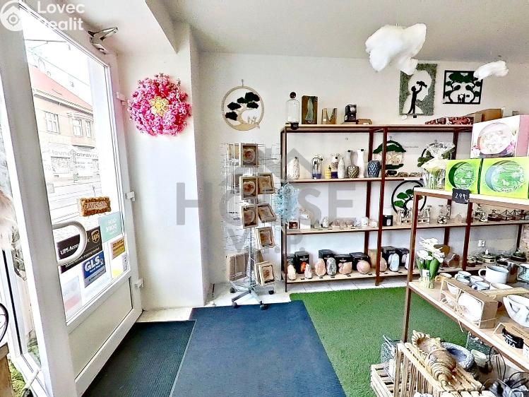 Pronájem obchodního prostoru Praha, Klapkova 124/10 č. 11