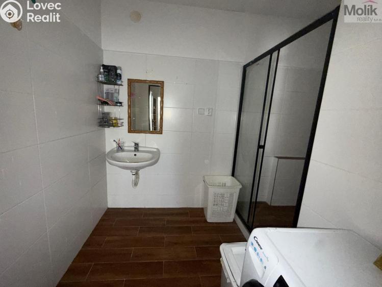 Prodej bytu 4+1 Krupka, Karla Čapka 245 č. 14