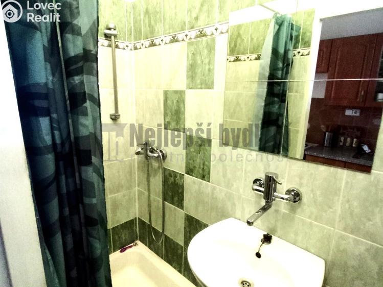 Rent apartment 1+1 Brno, Křenová č. 4