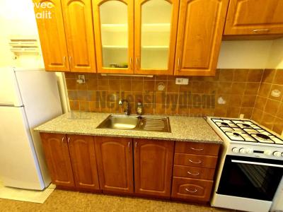 Rent apartment 1+1 Brno, Křenová č. 1